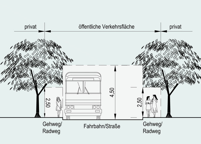 Regelquerschnitt bei Hecken