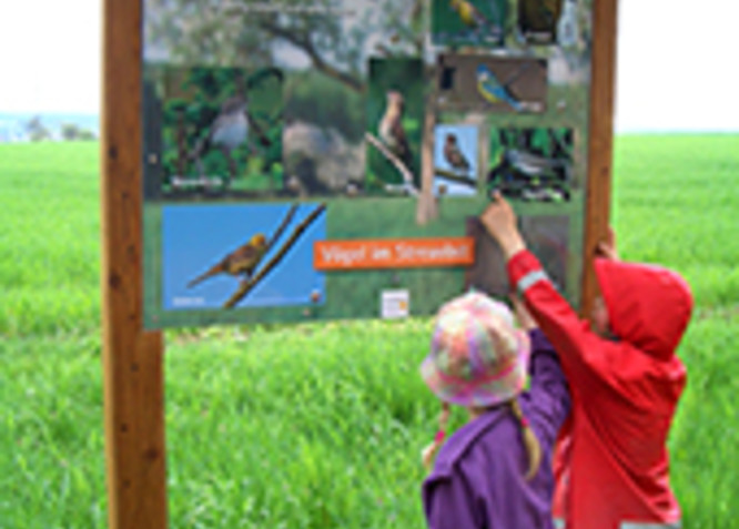 Kinder bei Betrachten einer Vogeltafel