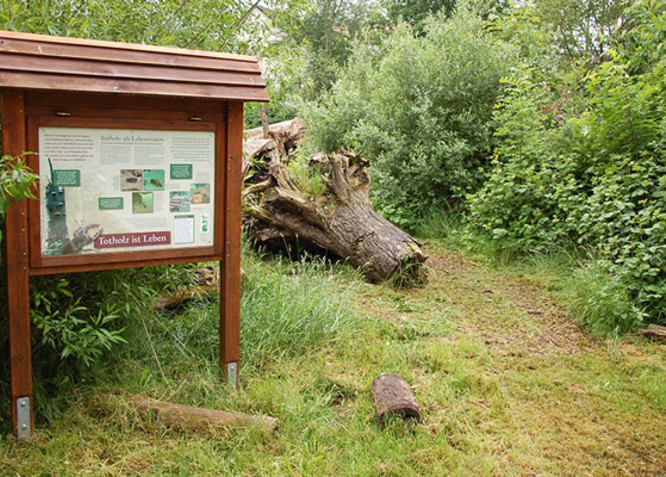 Der Totholzgarten im Landschaftspark Süd