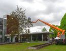 sauermann installation museumspark  