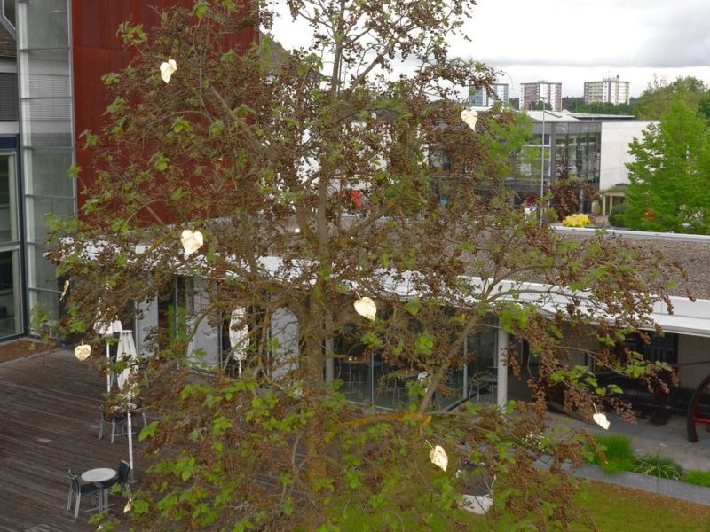 sauermann installation museumspark  