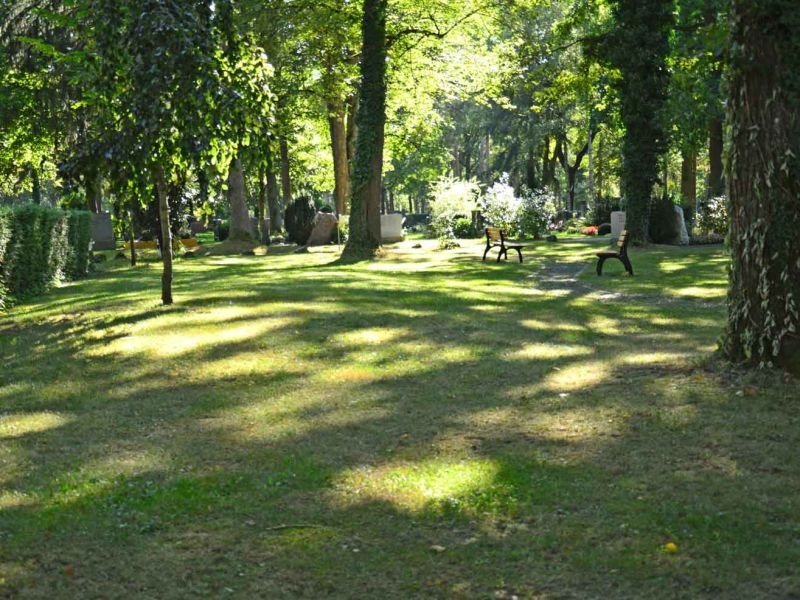 Das Baumbestattungsfeld