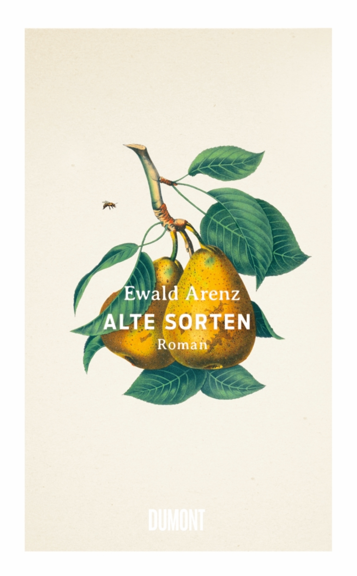 Luepkes Buchcover web