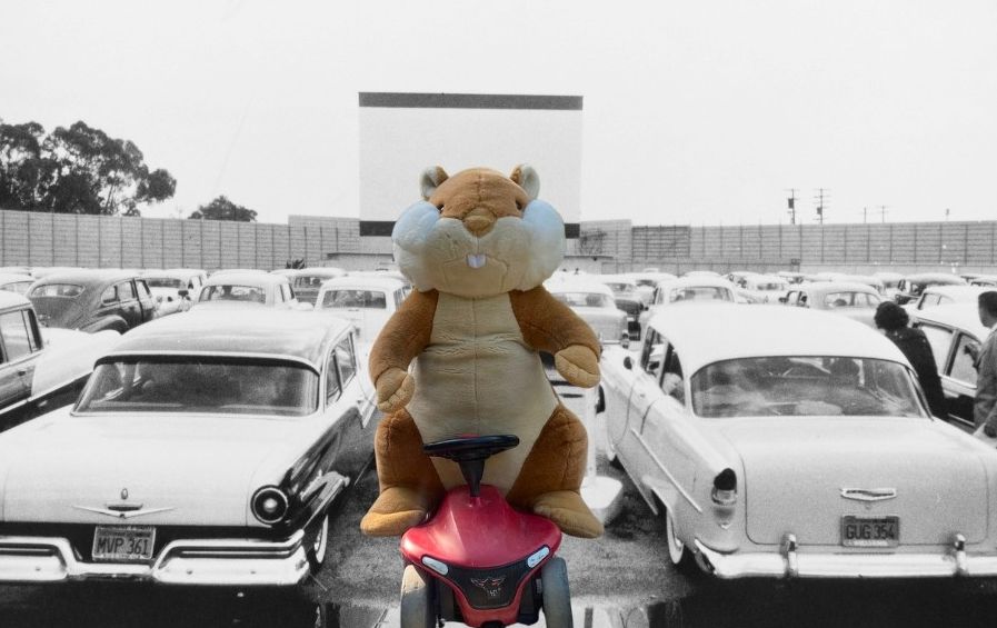 Hardy Hamster im Autokino