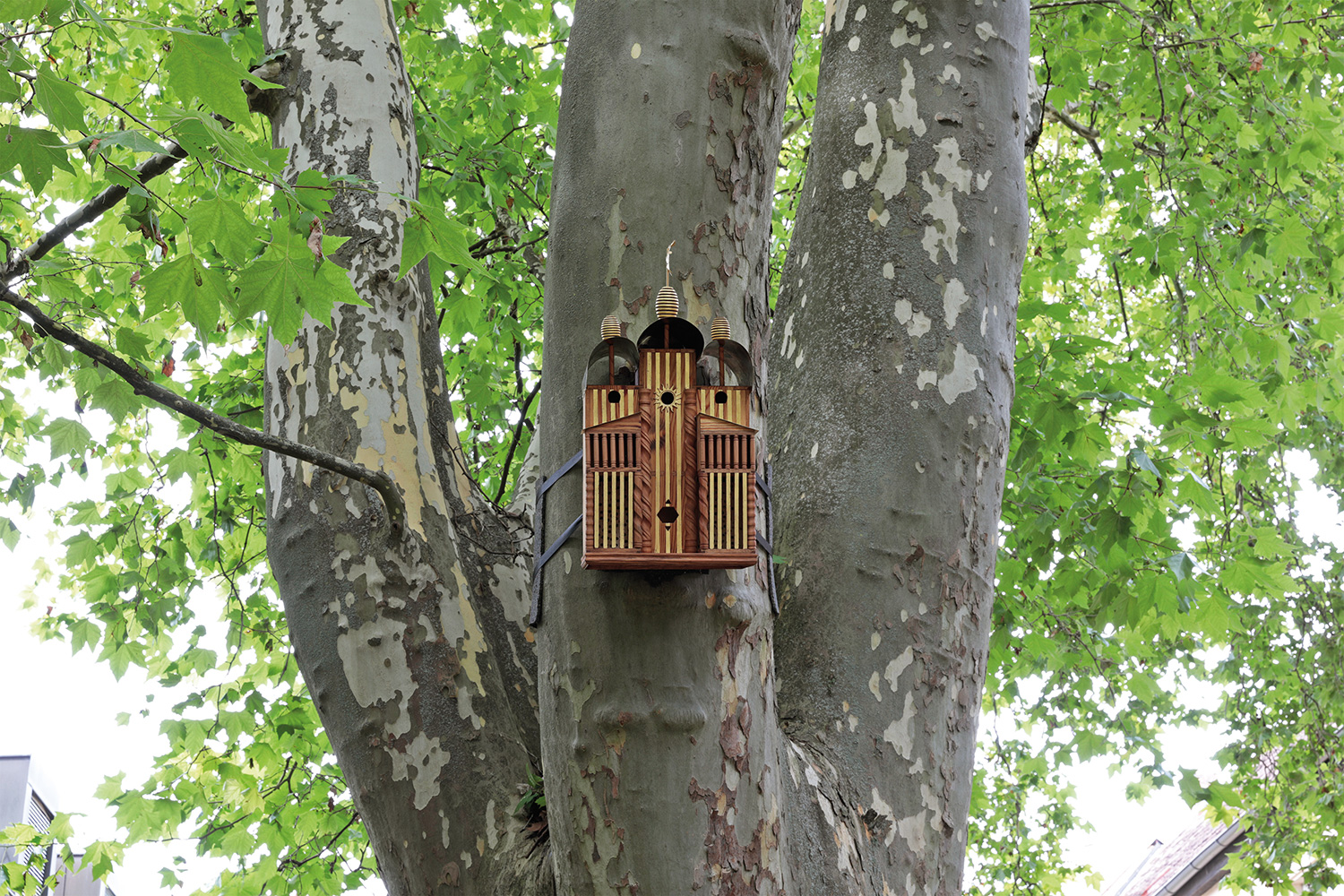 Golden Cage / Open Sky – Raphaël Fischer-Dieskau