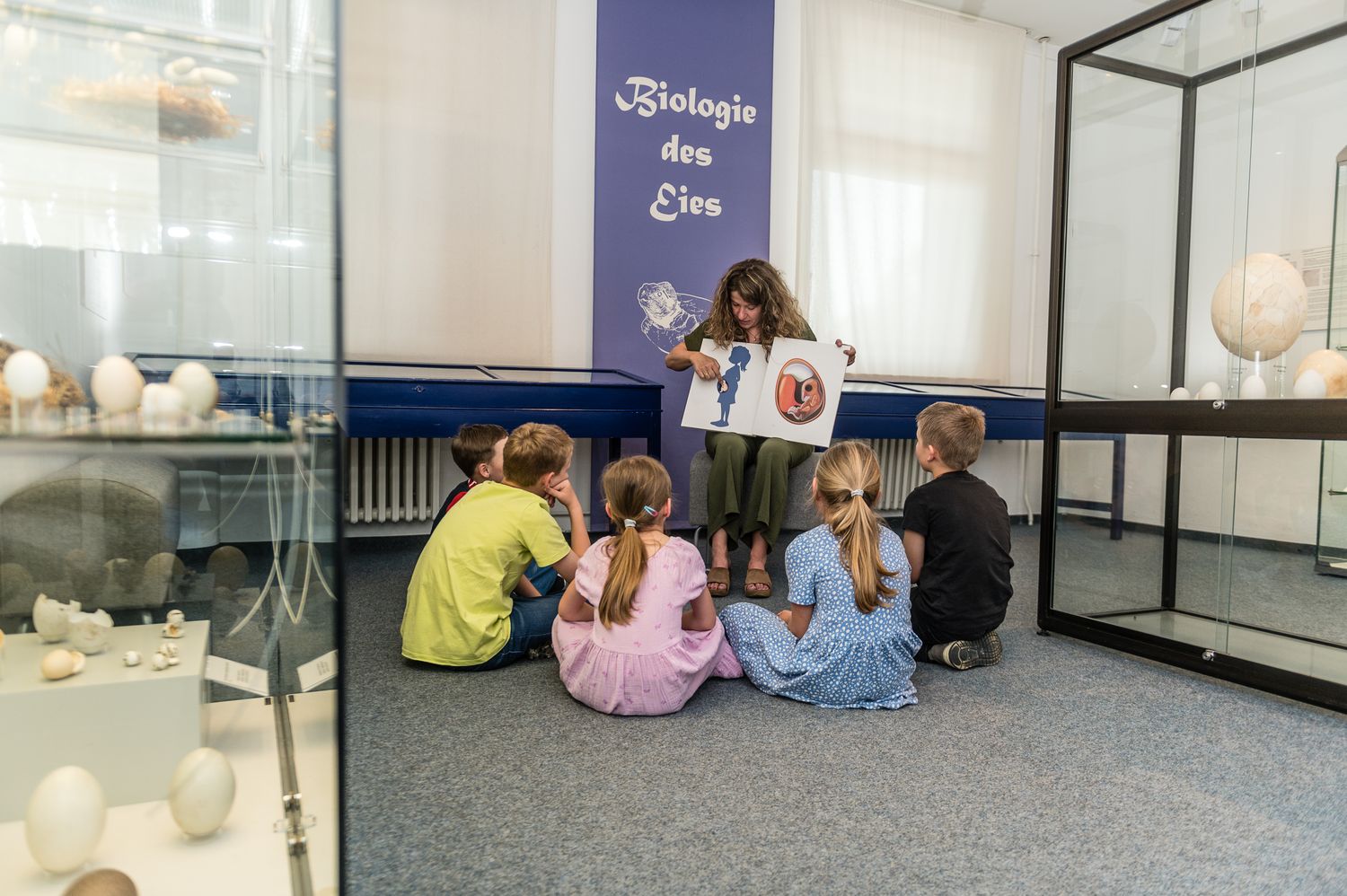 Frühlingszeit ist Eierzeit: Führungen rund ums Ei im Stadtmuseum