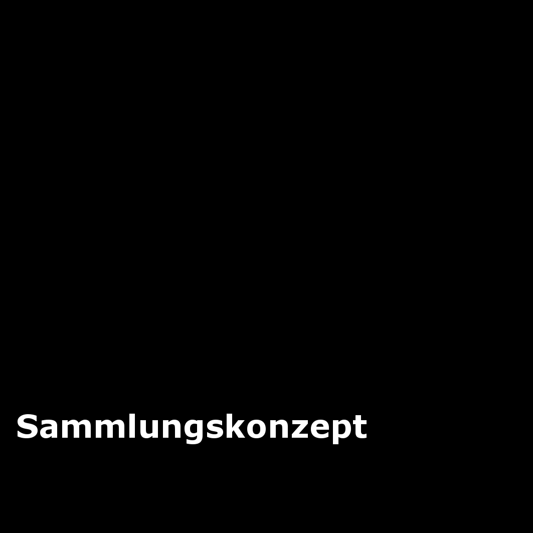 4 Sammlungskonzept