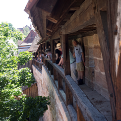 Historische Vereine Stadtmauerführung christine schoen 2017