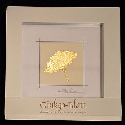 Bild Goldginkgo bearb