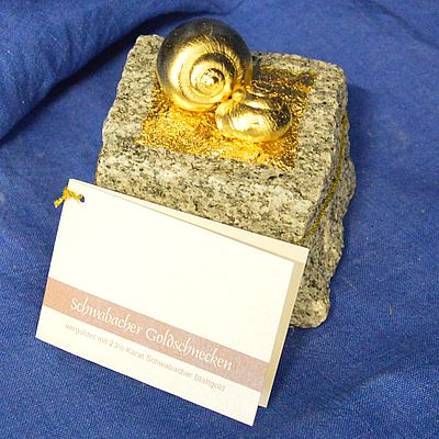 Schnecken gold Pflasterstein besser 400 DSC 3812