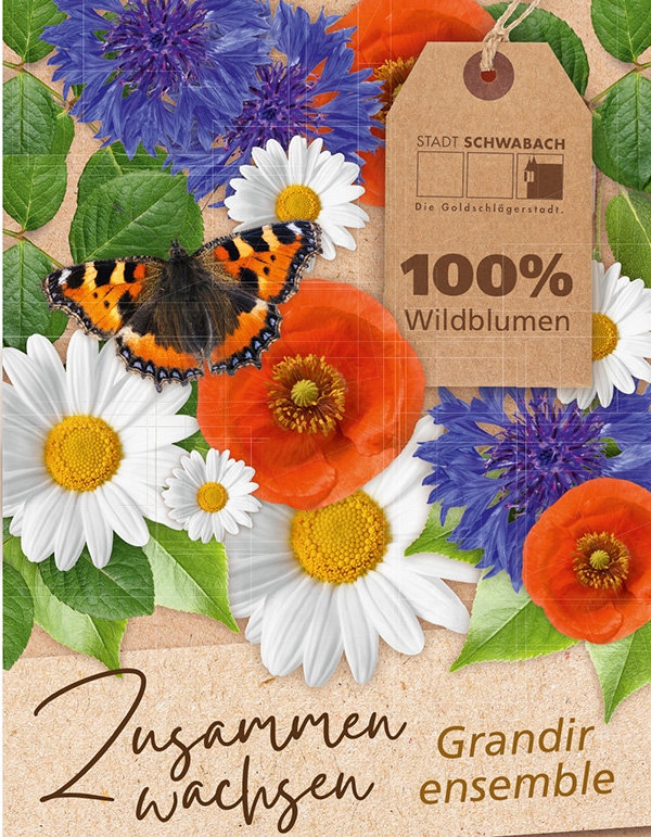 Samentüte der Wildblumenmischung