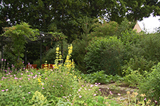 Im Apothekersgarten
