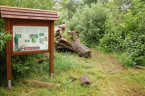 Der Totholzgarten im Landschaftspark Süd Der Totholzgarten im Landschaftspark Süd
