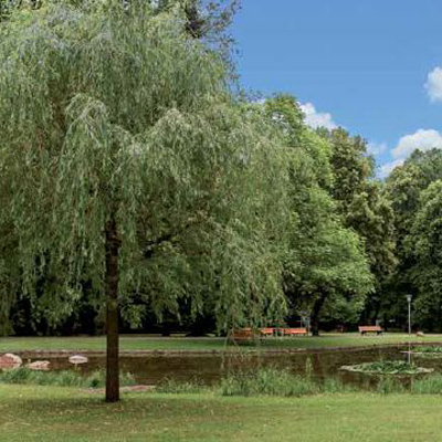 Stadtpark
