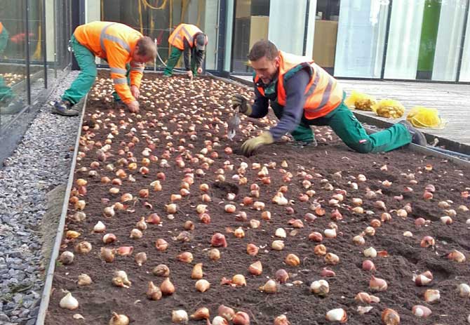 Ausbildung zum/zur Gärtner/in