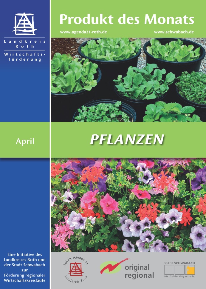 Pflanzen