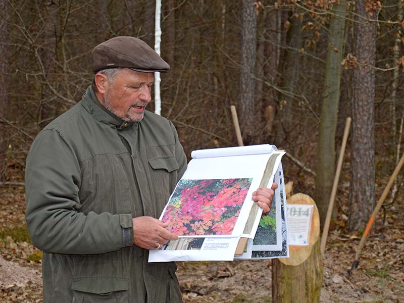 BaumdesJahres Knotz