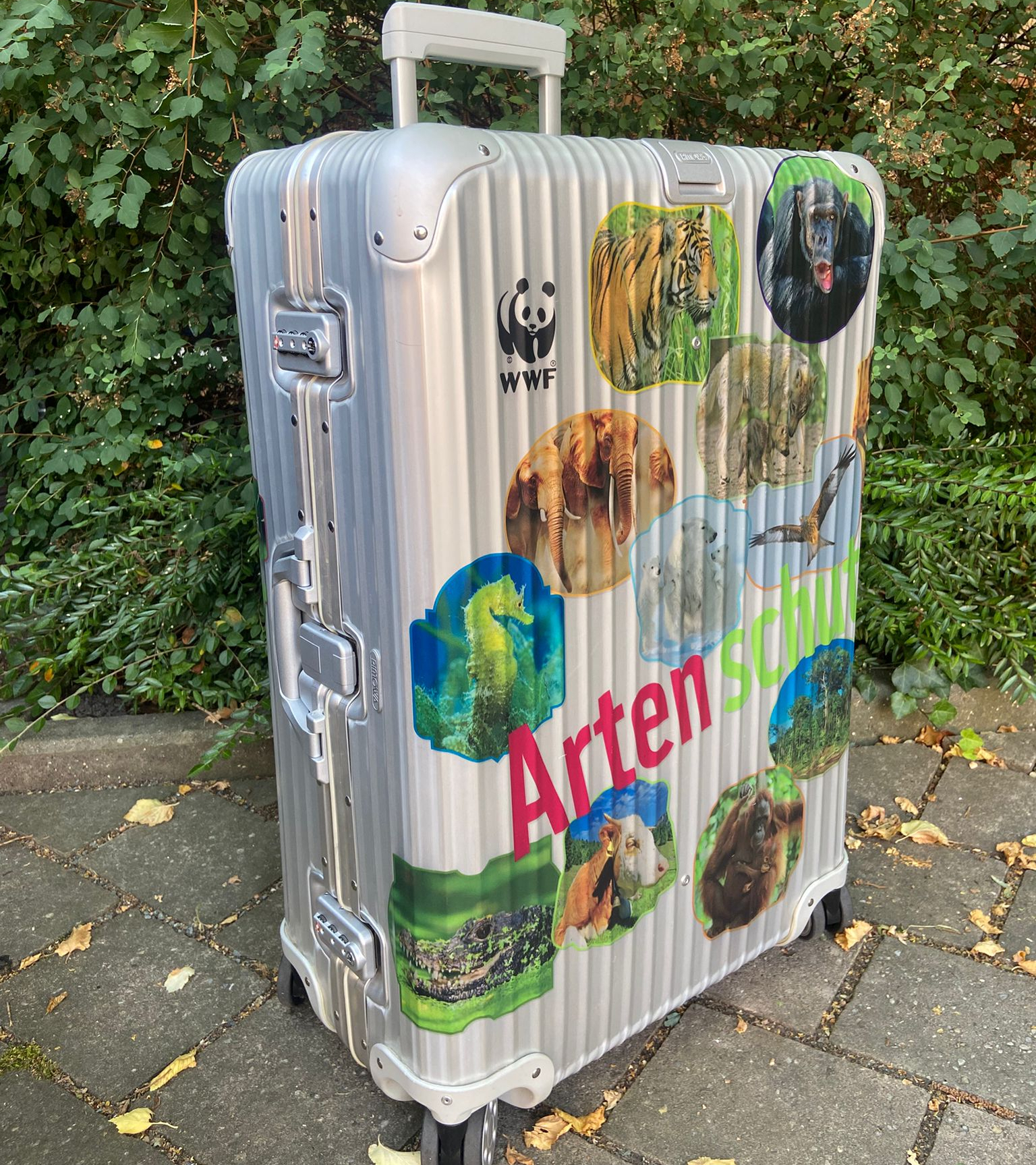WWF Artenschutzkoffer