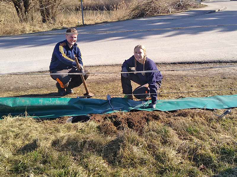 Die beiden Bufdis des Umweltschutzamtes, Raphael Schoppel und Nora Schöttler, beim Aufbauen des Amphibienzaunes