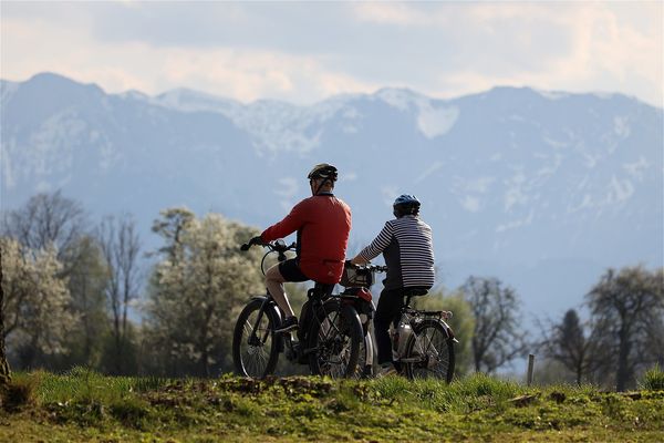 Fahrrad Franz W